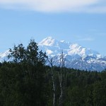 We were lucky to see Mt. Mckinley four days without its head in the clouds
