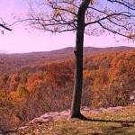 The Alto Pass overlook and Shawnee Forest south of Carbondale, IL is worth a fall trip 