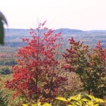 Some of the best fall viewing is from the hills of the Leelanau and Mission Peninsulas 