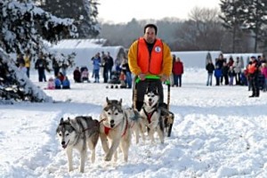 Watching winter outdoor activities such as dogsledding at the Morton Arboretum in Lisle, Illinois is fun if dressed for the occasion  