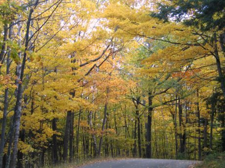 Fall comes in all colors along the forested back roads of Door County in northern Wisconsin