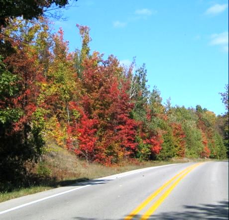 Follow the red border roads on the Leelanau Peninsula near Traverse City because they lead to wineries, cute towns, great overlooks and more fall color