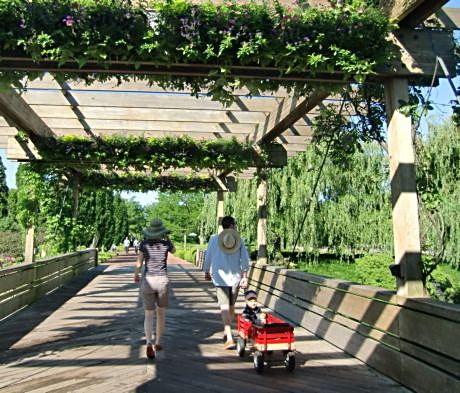 Check out butterflies or stroll the paths at the Chicago Botanic Garden