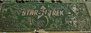 Star Trek celebrated in huge Spring Grove maze