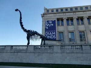 The Field and most other Chicago museums have free general admission for Illinois residents On Martin Luther King, Jr. Day. Photo by Jodie Jacobs