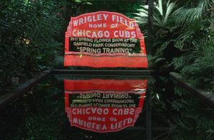 Celebrate the World Series Cubs at Garfield Park conservatory's Spring Training show. Chicago Park District photo