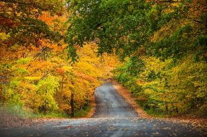 Fall is a wonderful time to take a drive. Traverse City Tourism photo