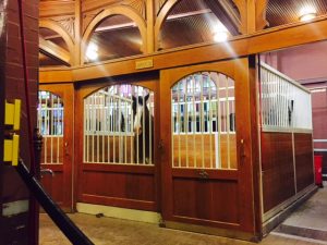 Visit the Clydesdales on a Budweiser tour