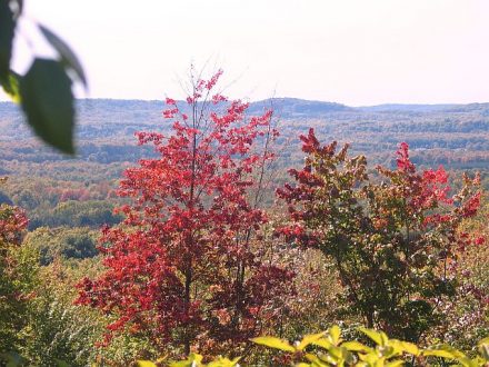 Think Traverse City for a fall getaway. 